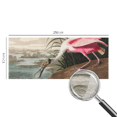 Fotografická tapeta vliesová Exotický pták