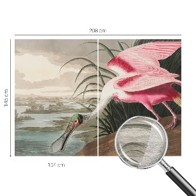 Fotografická tapeta vliesová Exotický pták