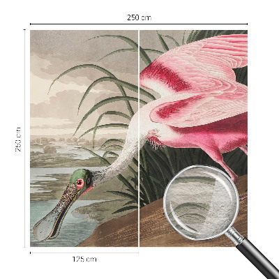 Fotografická tapeta vliesová Exotický pták