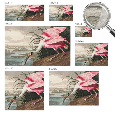 Fotografická tapeta vliesová Exotický pták