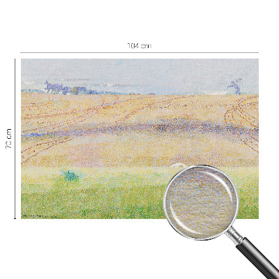 Dekorativní fototapeta na zeď Letní pole