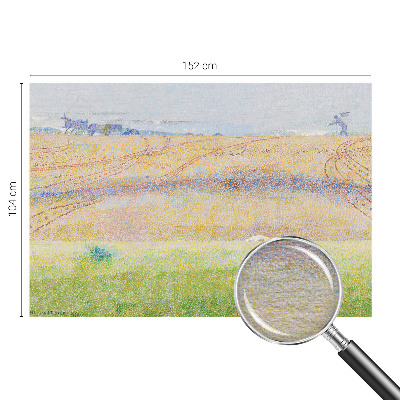 Dekorativní fototapeta na zeď Letní pole