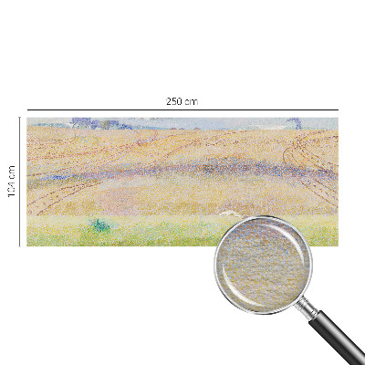 Dekorativní fototapeta na zeď Letní pole