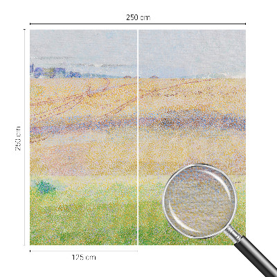 Dekorativní fototapeta na zeď Letní pole