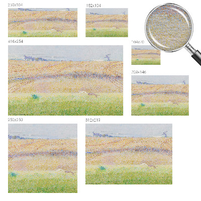 Dekorativní fototapeta na zeď Letní pole