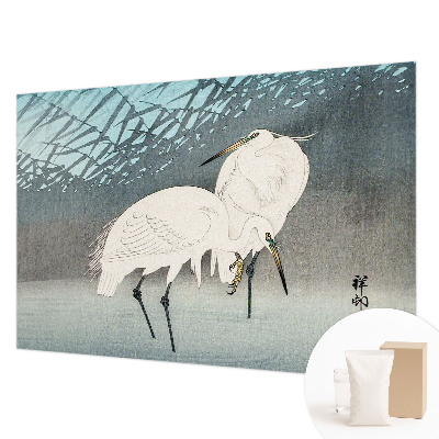 Moderní fototapeta na míru Křehcí ptáci