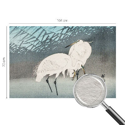 Moderní fototapeta na míru Křehcí ptáci