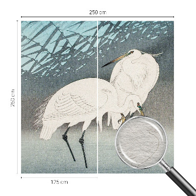 Moderní fototapeta na míru Křehcí ptáci