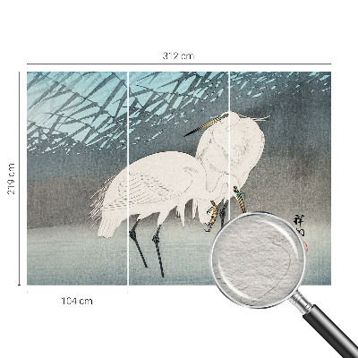 Moderní fototapeta na míru Křehcí ptáci