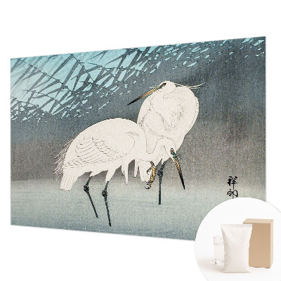 Moderní fototapeta na míru Křehcí ptáci