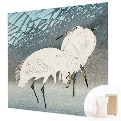 Moderní fototapeta na míru Křehcí ptáci