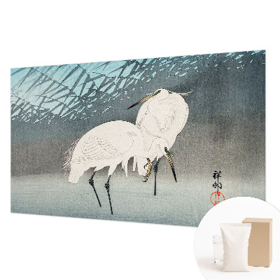 Moderní fototapeta na míru Křehcí ptáci