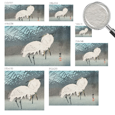 Moderní fototapeta na míru Křehcí ptáci