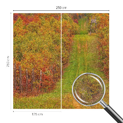 Fotografická tapeta samolepicí Podzimní barvy