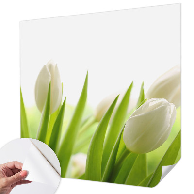 Samolepicí fototapeta do dětského pokoje Bílé tulipány