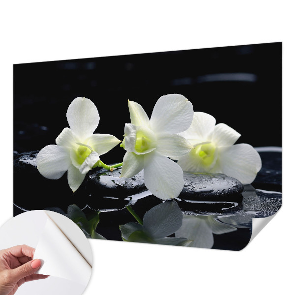 Fototapeta pro kluka Květiny a kameny