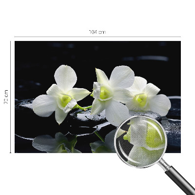 Fototapeta pro kluka Květiny a kameny