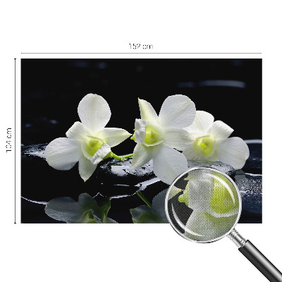 Fototapeta pro kluka Květiny a kameny