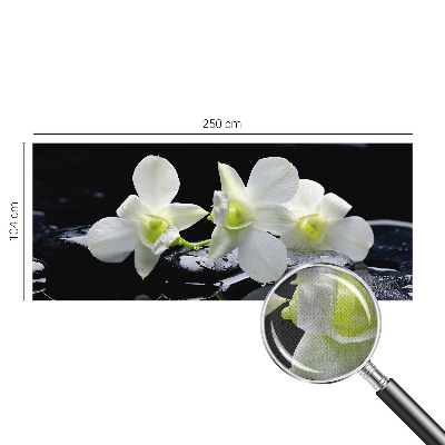 Fototapeta pro kluka Květiny a kameny