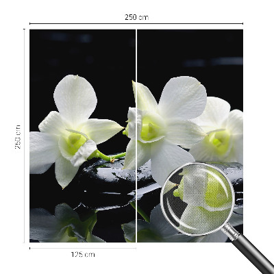 Fototapeta pro kluka Květiny a kameny