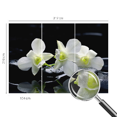 Fototapeta pro kluka Květiny a kameny