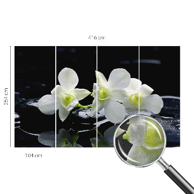 Fototapeta pro kluka Květiny a kameny