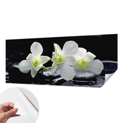 Fototapeta pro kluka Květiny a kameny