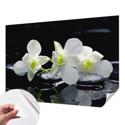 Fototapeta pro kluka Květiny a kameny