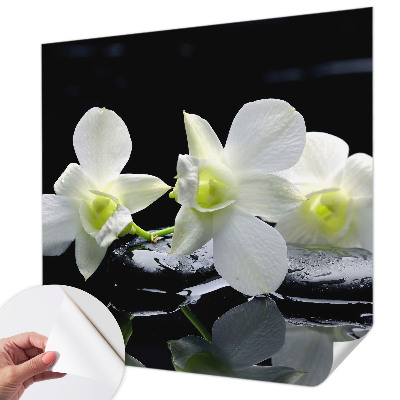 Fototapeta pro kluka Květiny a kameny