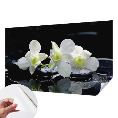 Fototapeta pro kluka Květiny a kameny