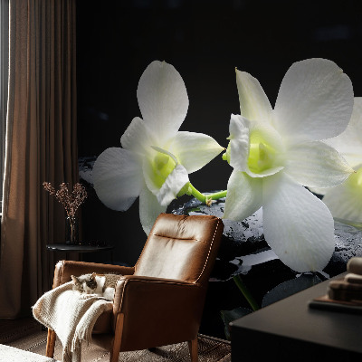 Fototapeta pro kluka Květiny a kameny