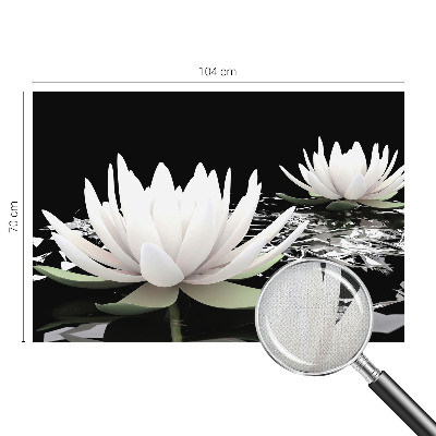 Fototapeta pro holku Vodní květiny