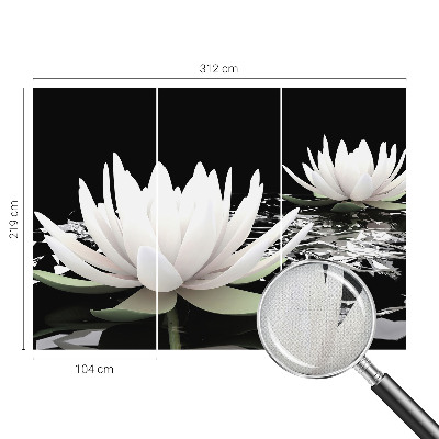 Fototapeta pro holku Vodní květiny