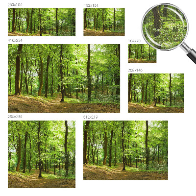 Samolepicí fototapeta Přirozená cesta