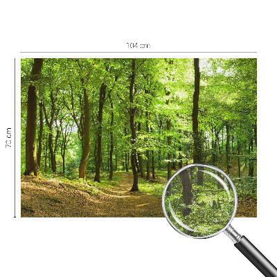 Samolepicí fototapeta Přirozená cesta