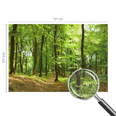 Samolepicí fototapeta Přirozená cesta