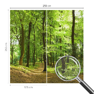 Samolepicí fototapeta Přirozená cesta