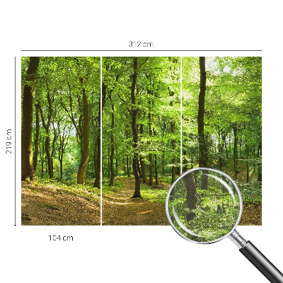 Samolepicí fototapeta Přirozená cesta