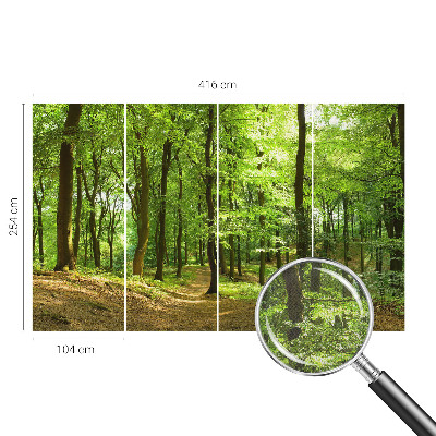 Samolepicí fototapeta Přirozená cesta