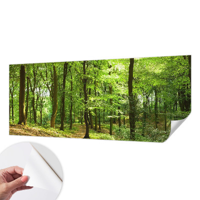 Samolepicí fototapeta Přirozená cesta