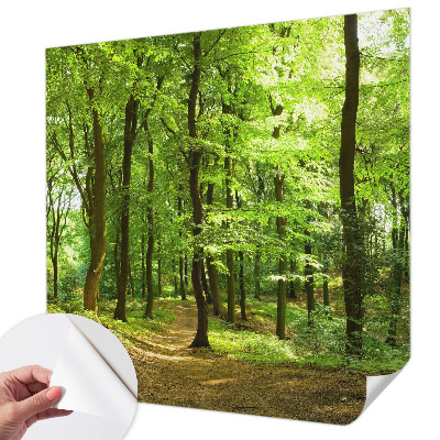 Samolepicí fototapeta Přirozená cesta