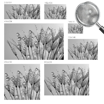 Samolepicí fototapeta do dětského pokoje Mokrá pochoutka