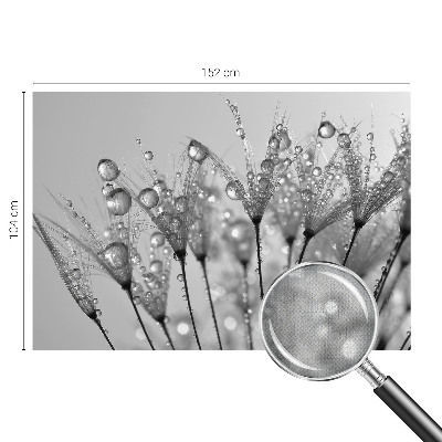 Samolepicí fototapeta do dětského pokoje Mokrá pochoutka