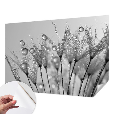 Samolepicí fototapeta do dětského pokoje Mokrá pochoutka