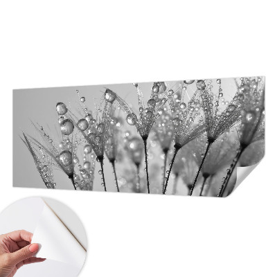 Samolepicí fototapeta do dětského pokoje Mokrá pochoutka