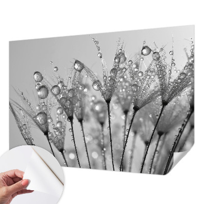 Samolepicí fototapeta do dětského pokoje Mokrá pochoutka