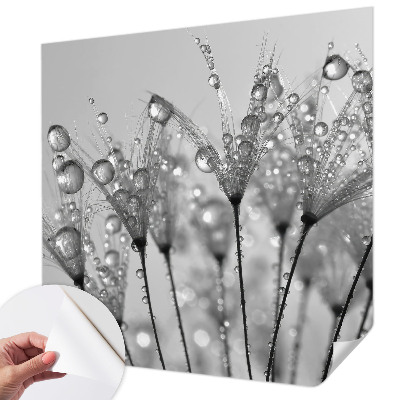 Samolepicí fototapeta do dětského pokoje Mokrá pochoutka