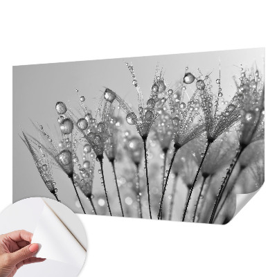 Samolepicí fototapeta do dětského pokoje Mokrá pochoutka