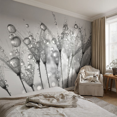 Samolepicí fototapeta do dětského pokoje Mokrá pochoutka