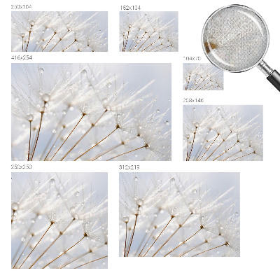 Samolepicí fototapeta do ložnice Růžová pampeliška